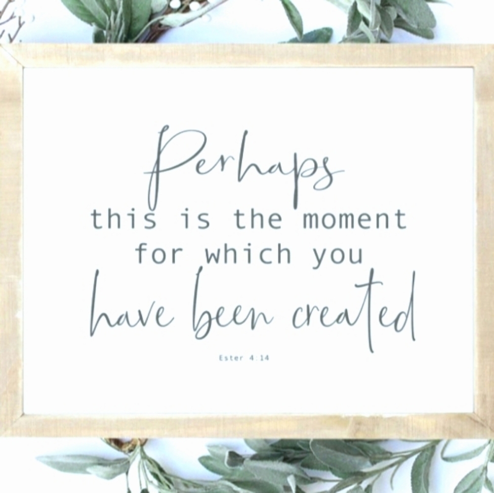 Meet your Posher, Adrian